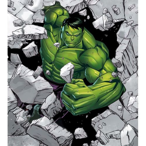 Komar Fotobehang Hulk Breaker Groen En Grijs - 250 X 280 Cm - 610772