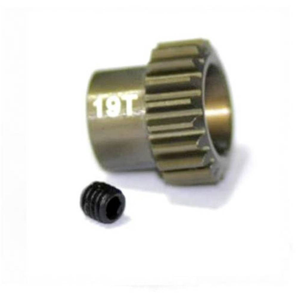 ArrowMax Motorrondsel Soort module: 48 DP Boordiameter: 3.175 mm Aantal tanden: 19