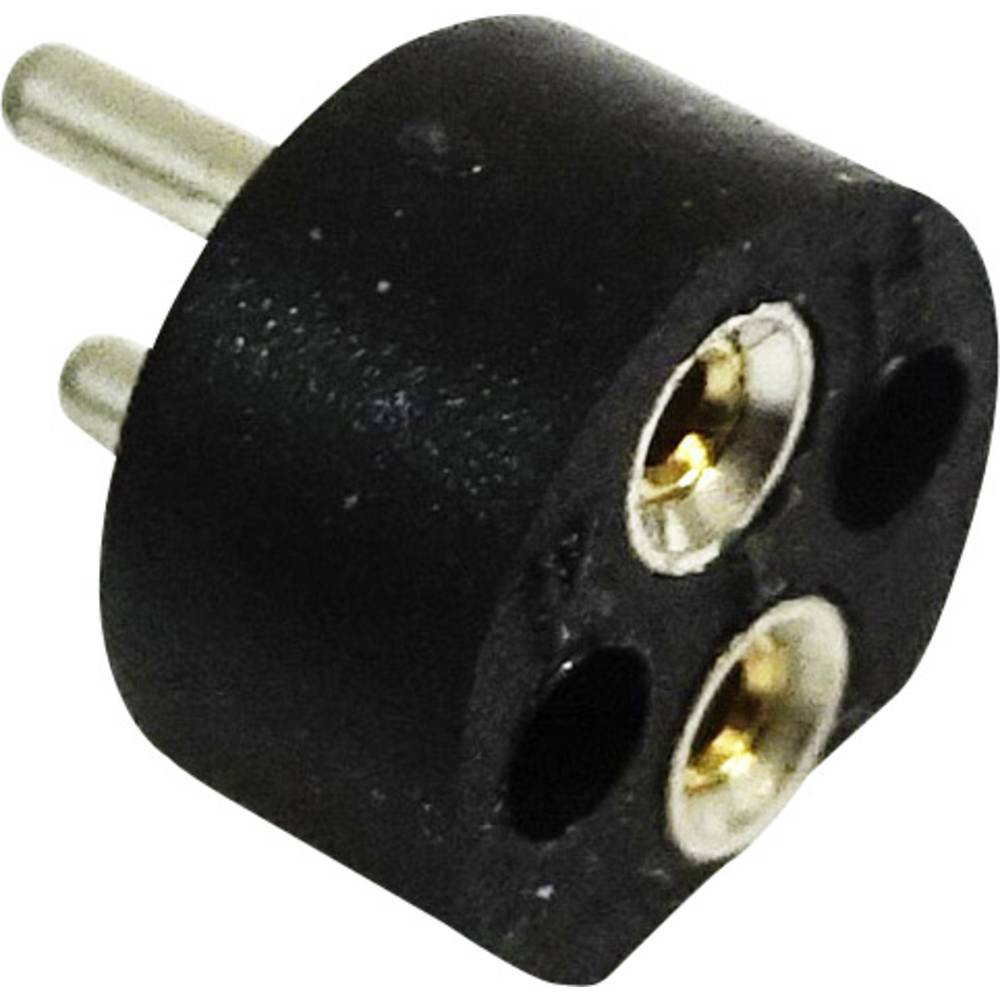 BELI-BECO 254 Lampfitting Fitting: Bi-Pin 4 mm Aansluiting: Soldeerstift 1 stuk(s)