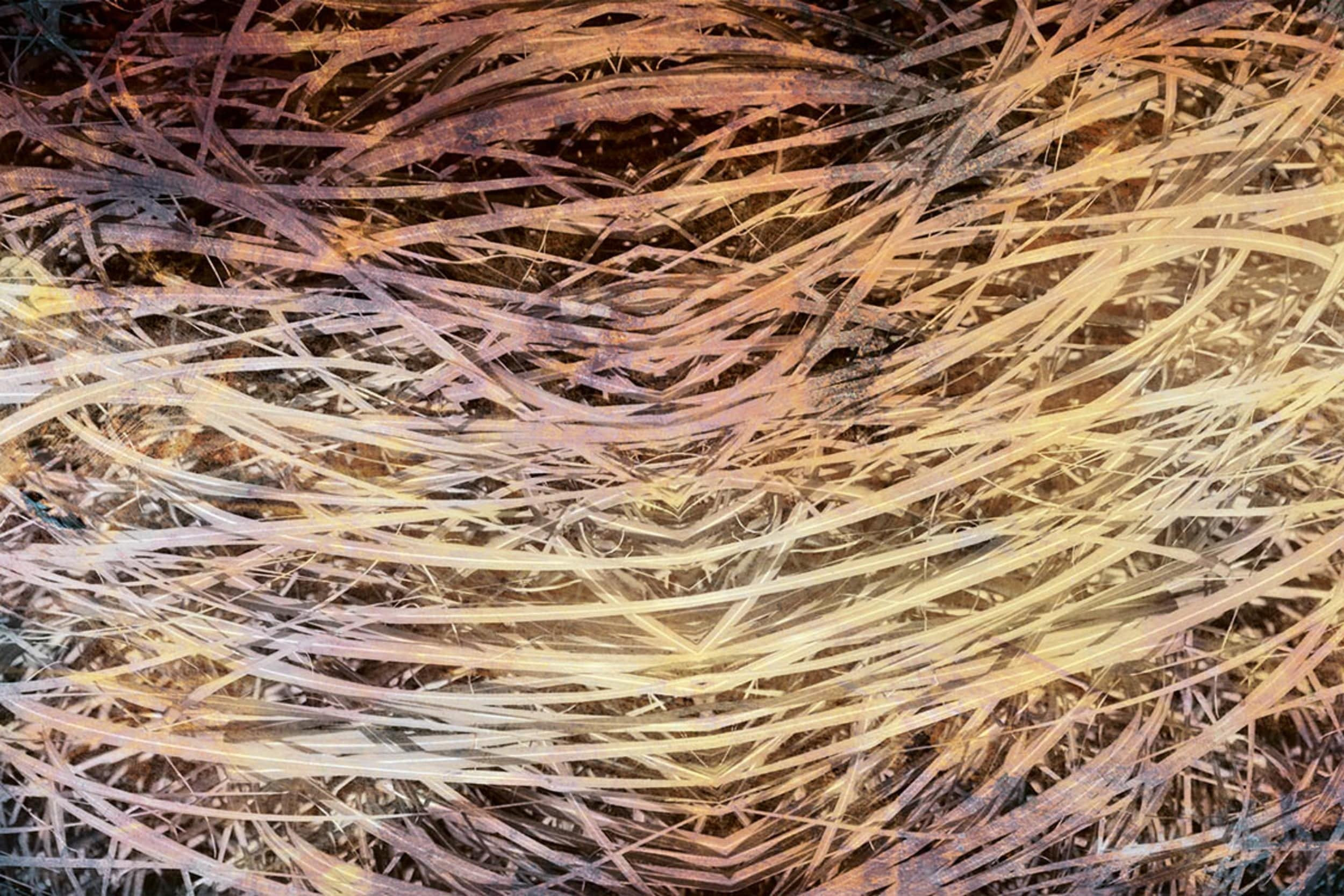 Fotobehang - Hay Abstract I 375x250cm - Vliesbehang