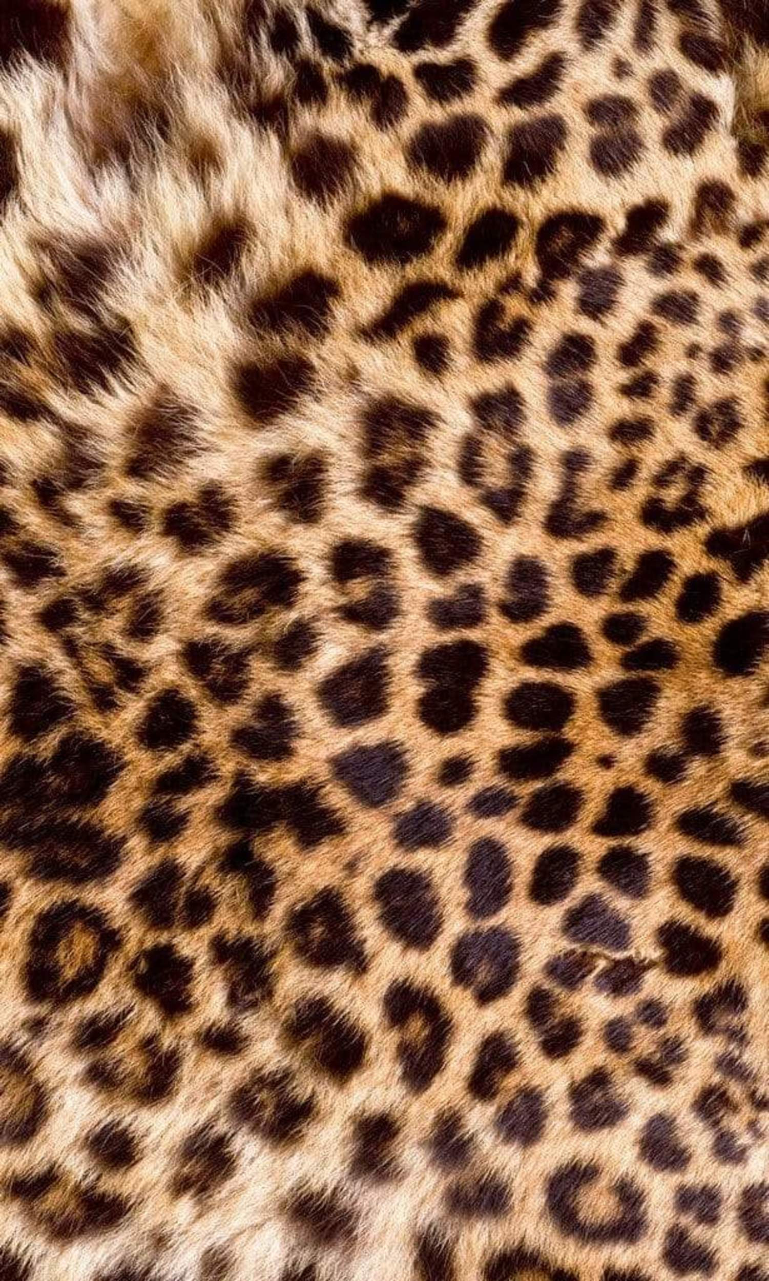 Fotobehang - Leopard Skin 150x250cm - Vliesbehang