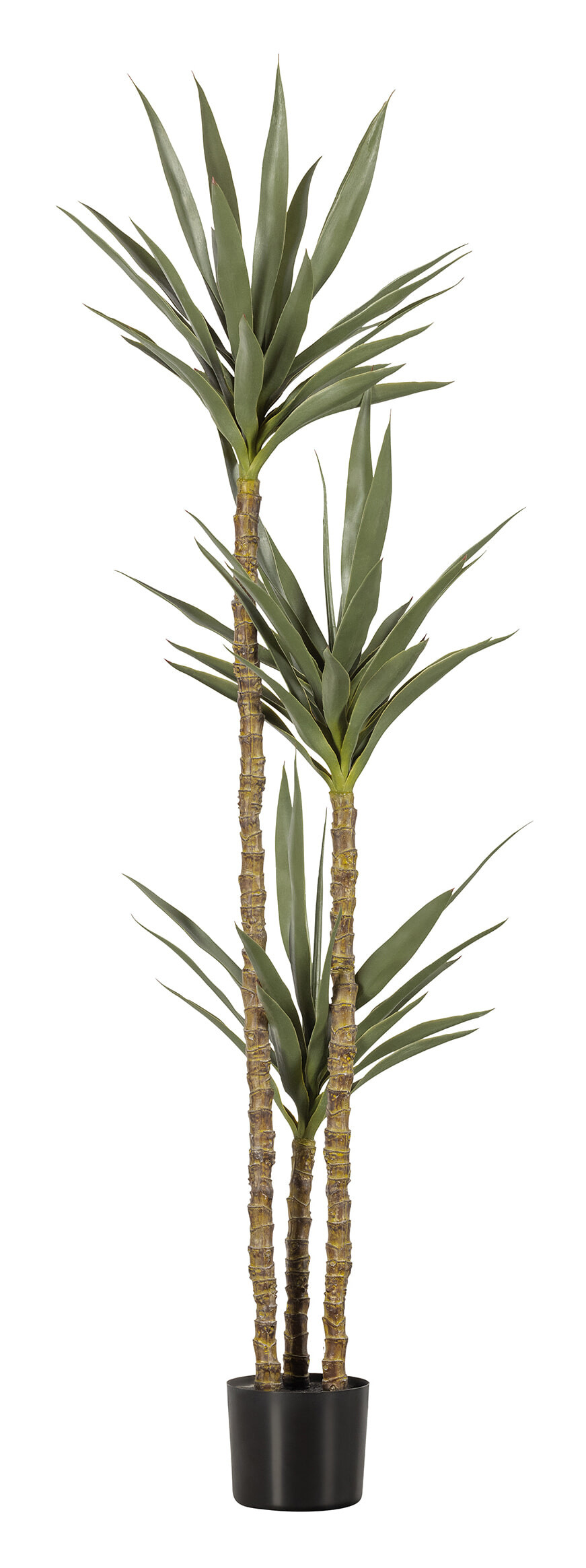 WOOOD Kunstplant 'Yucca' 155cm