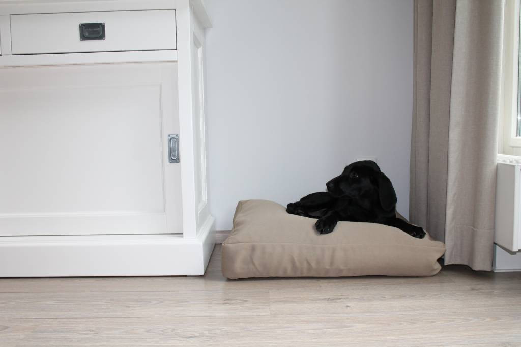 Dog's Companion® Beige benchkussen 65 x 50 x 10 cm