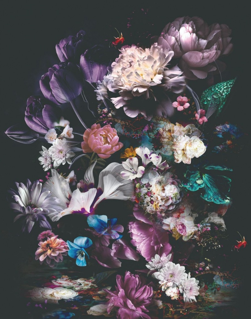 Noordwand Smart Art Easy Fotobehang grote bloemen 47225