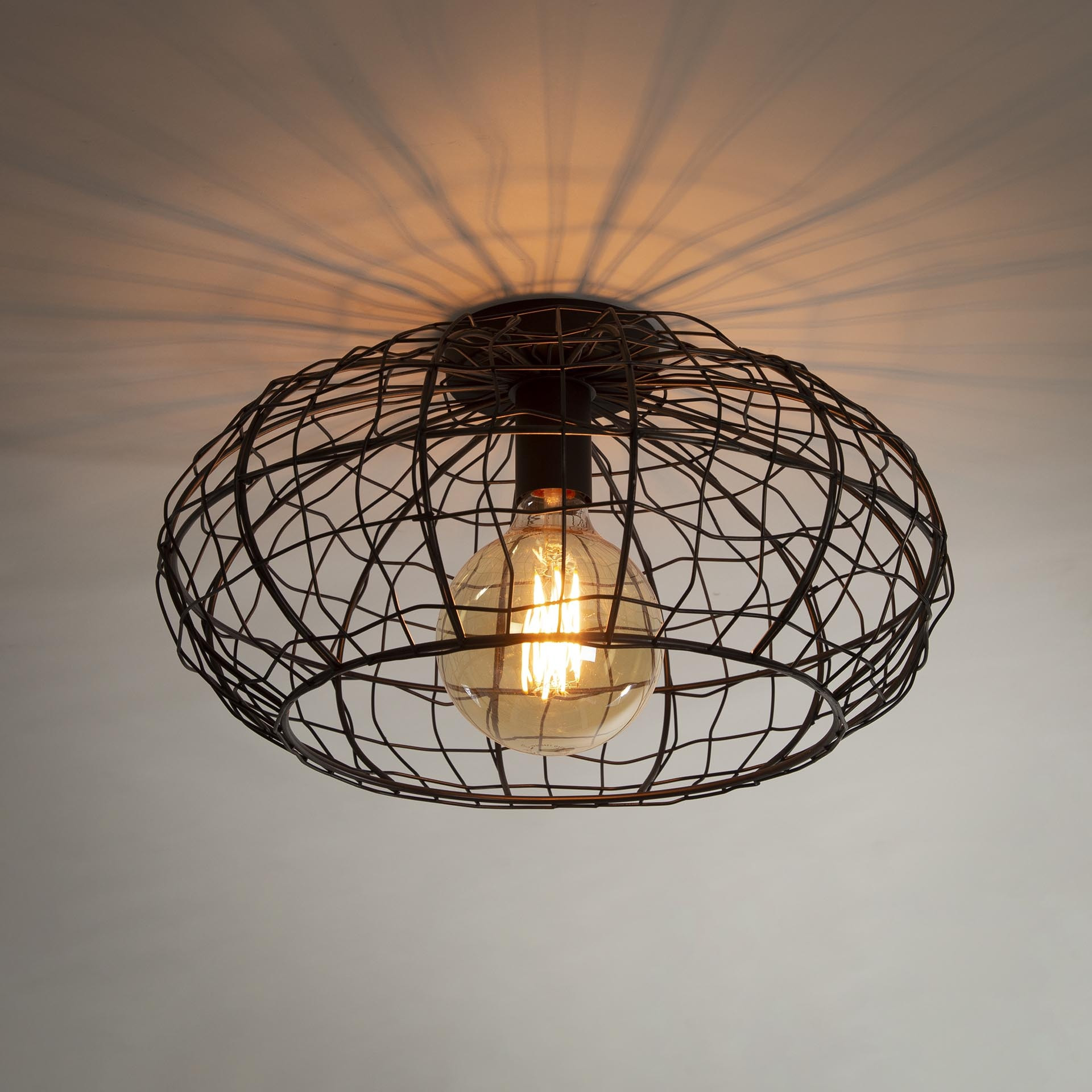 Plafondlamp Connect | 1L | Zwart - Bruin