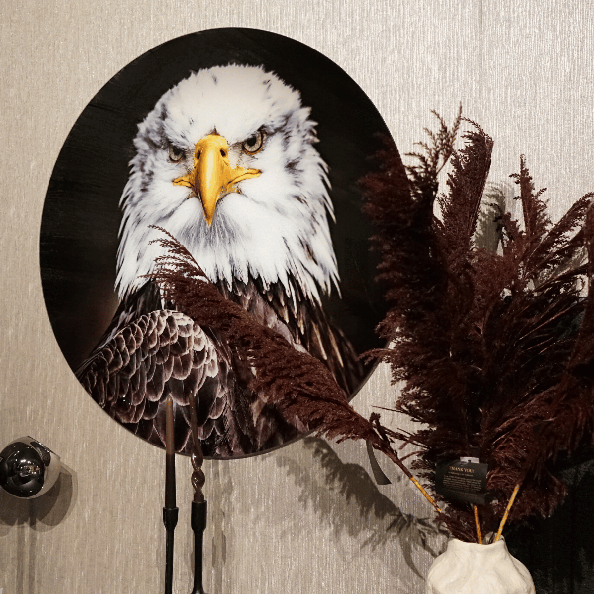Glasschilderij Bald Eagle | Rond 100cm