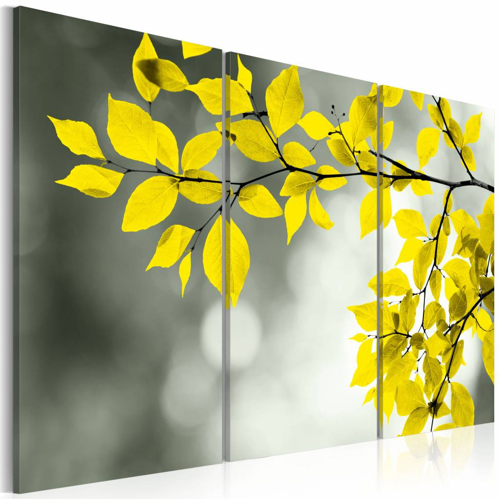 Schilderij - Gouden lente , geel , boom , 3 luik
