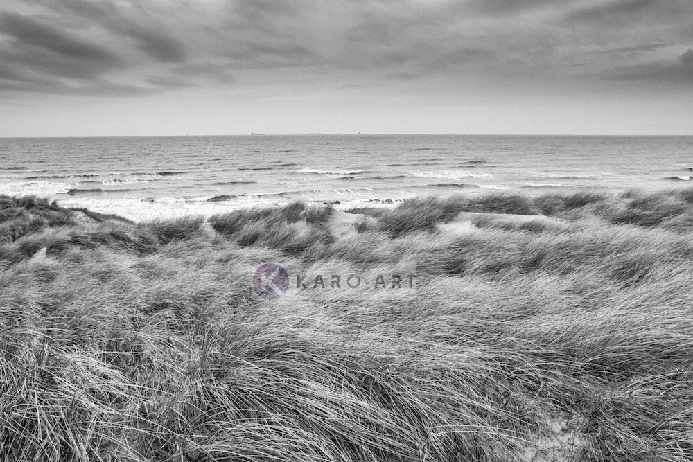 Afbeelding op acrylglas - De Noordzee en duinen in zwart en wit