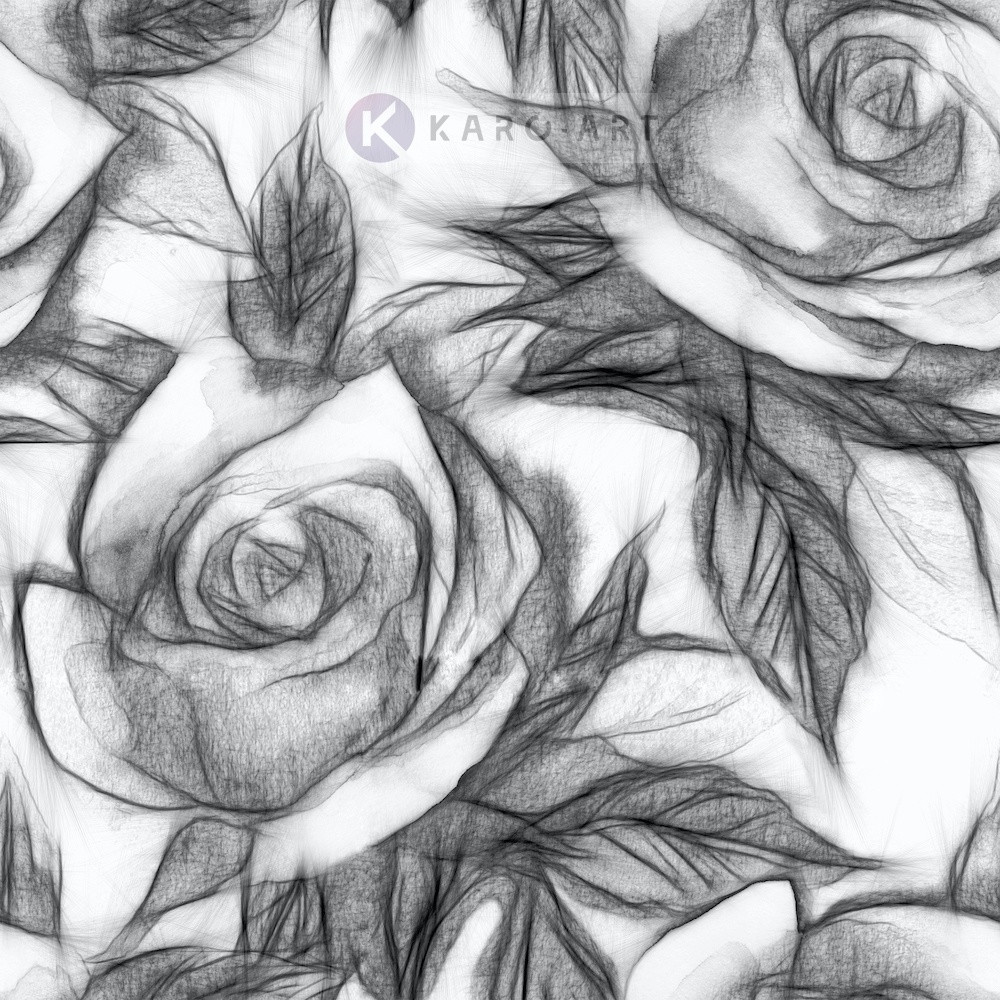 Afbeelding op acrylglas - Bloemmotief met rozen, Zwart wit , 3 maten , Wanddecoratie