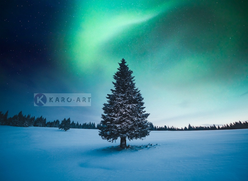 Afbeelding op acrylglas - Noorder licht Kerstboom , Blauw groen , 3 Maten , Wanddecoratie