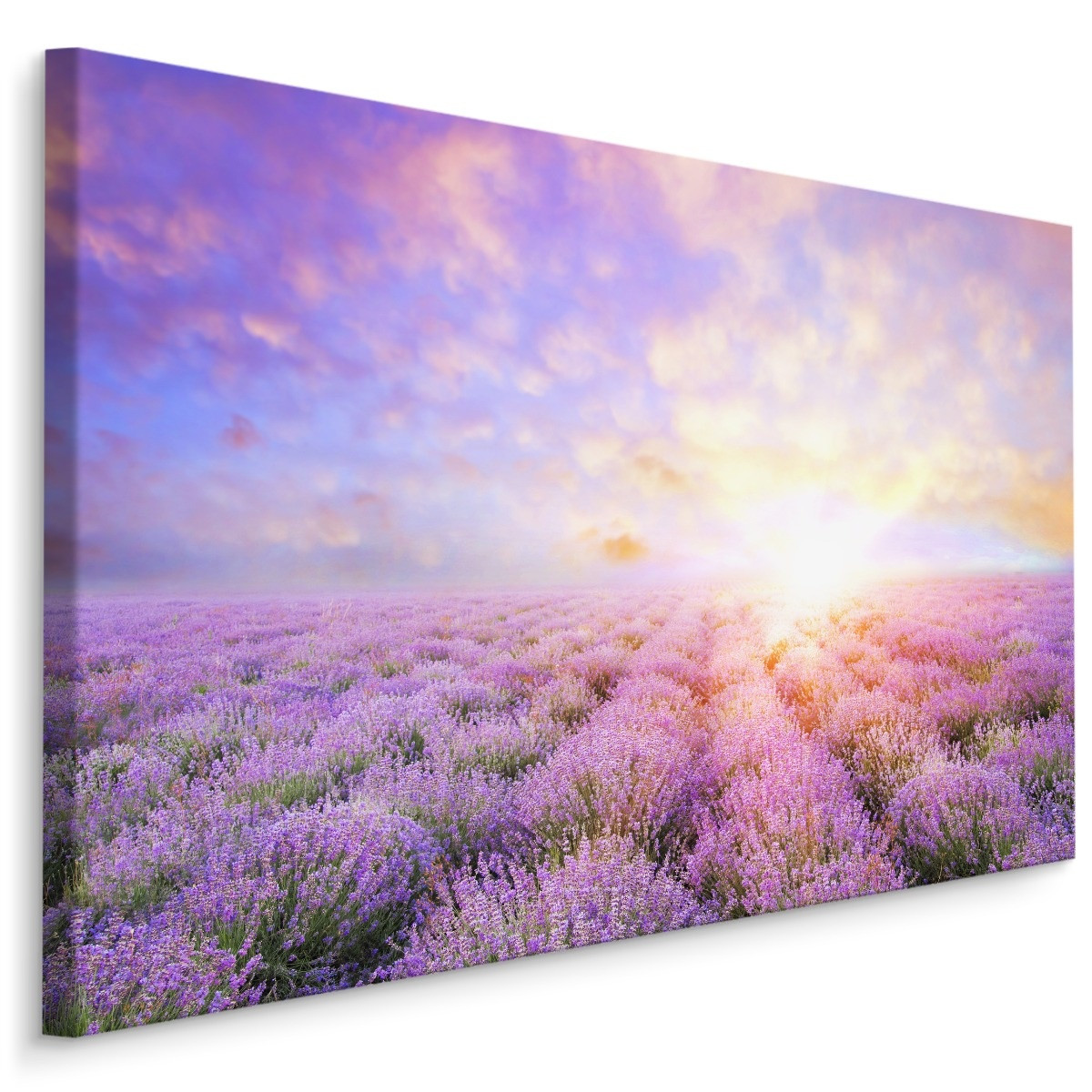 Schilderij - Lavendel tot aan de Horizon, paars, Premium Print