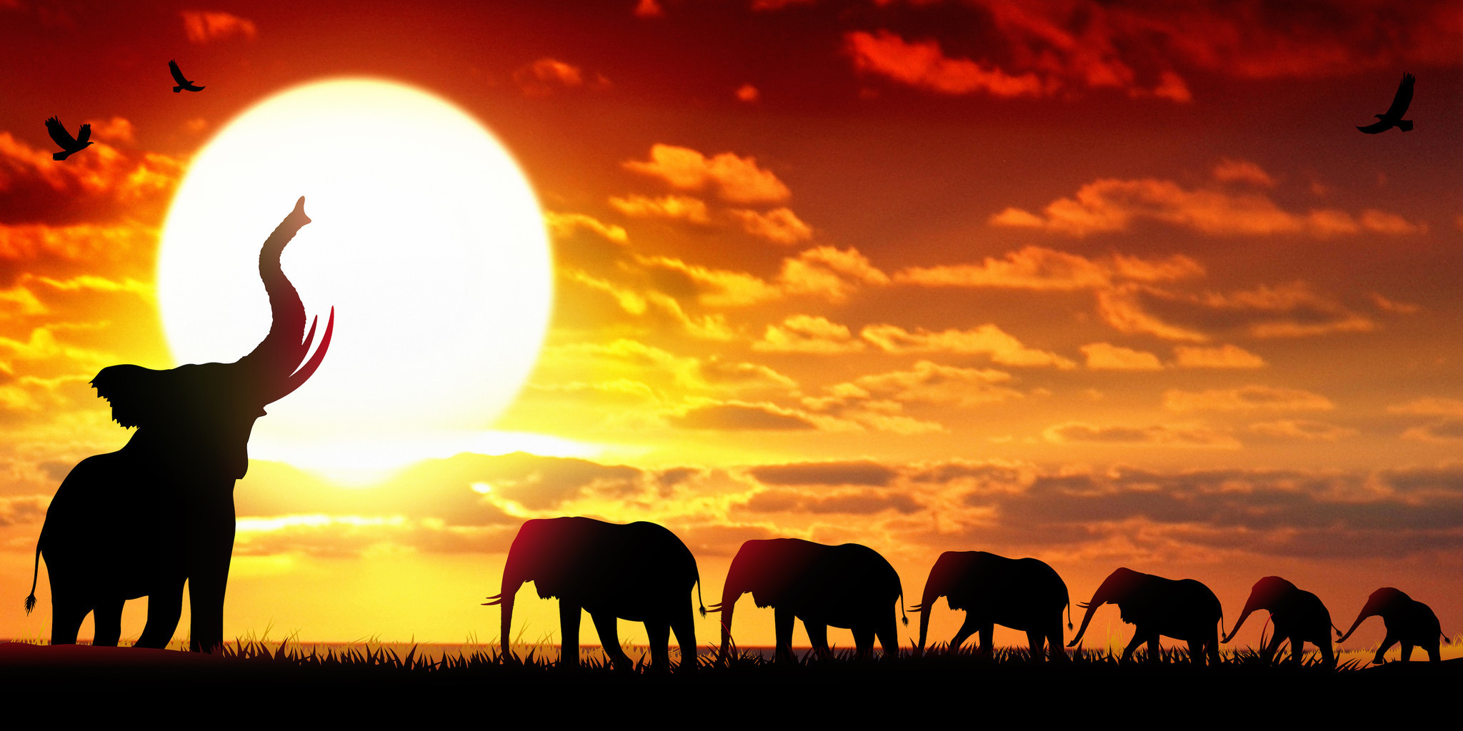 Schilderij - Kudde olifanten bij zonsondergang , Oranje geel bruin , 2 maten , Wanddecoratie