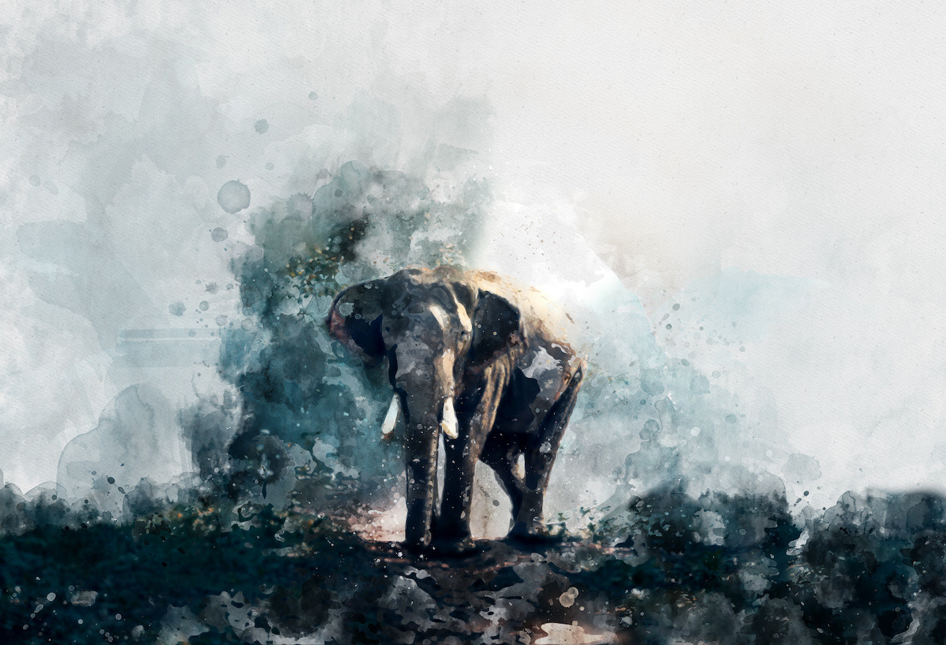 afbeelding op acrylglas - aquarel olifant