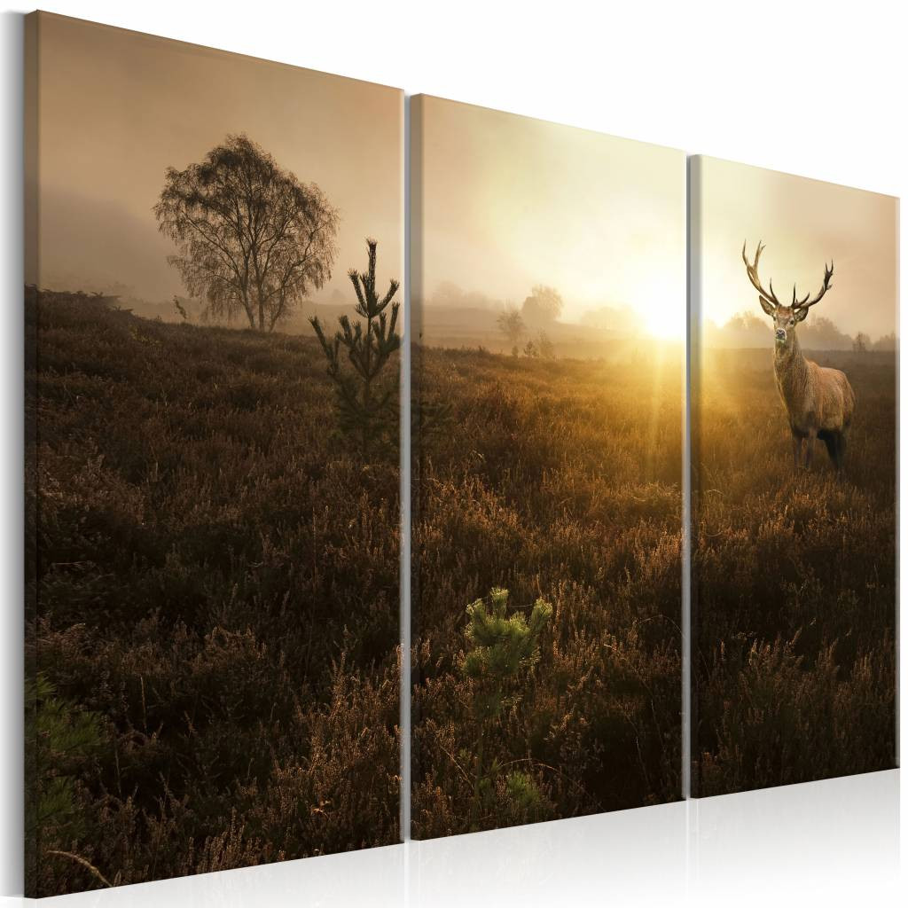 Schilderij - Hert in de Ochtend , bruin , 3 luik, premium print op echt Italiaans canvas, dieren, natuur