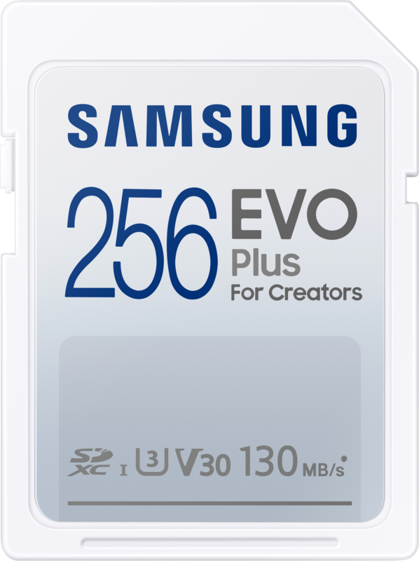 Samsung EVO Plus 256GB SDXC
