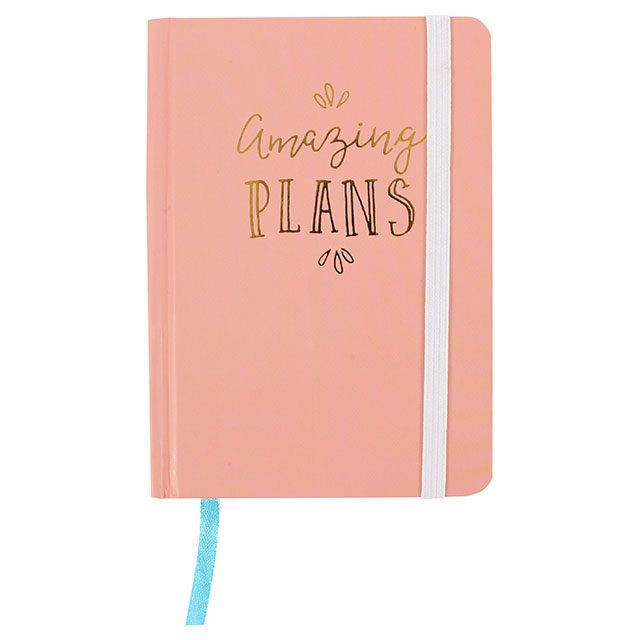 Amazing Plans Blush Notitieboekje