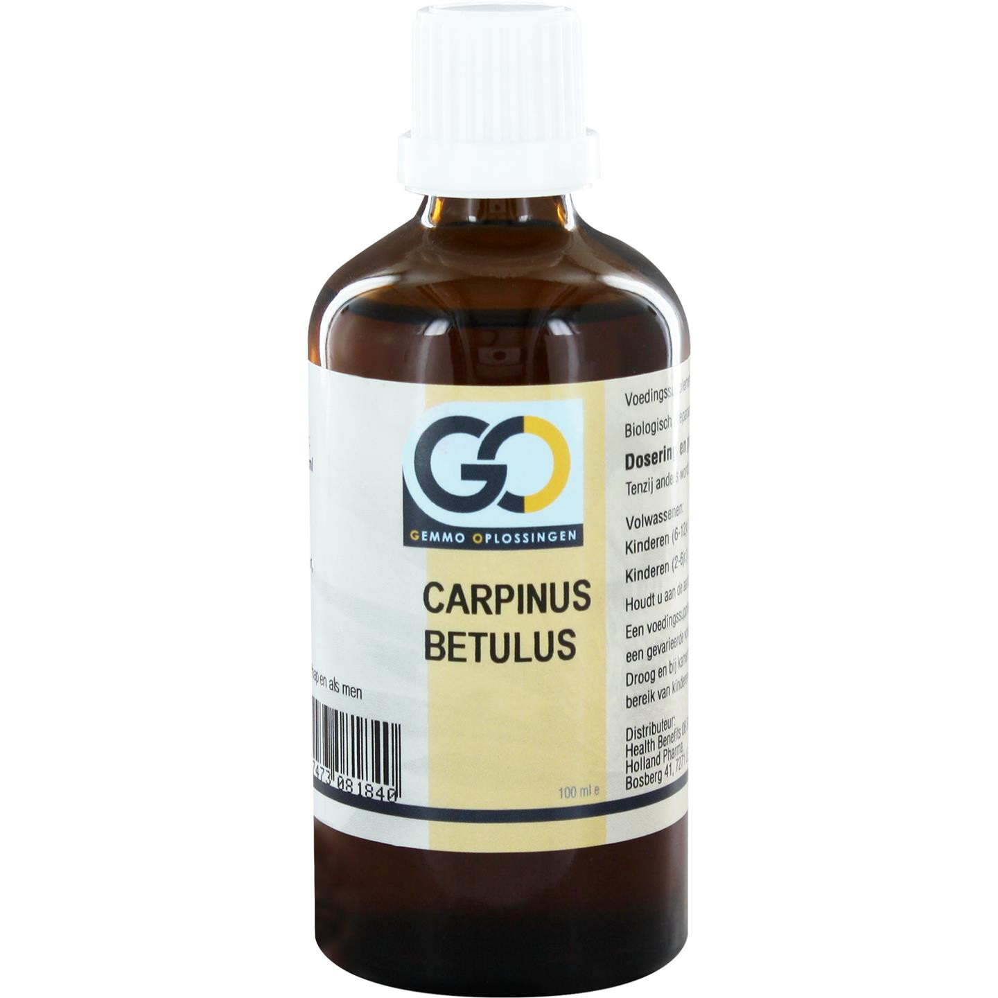 GO Carpinus betulus