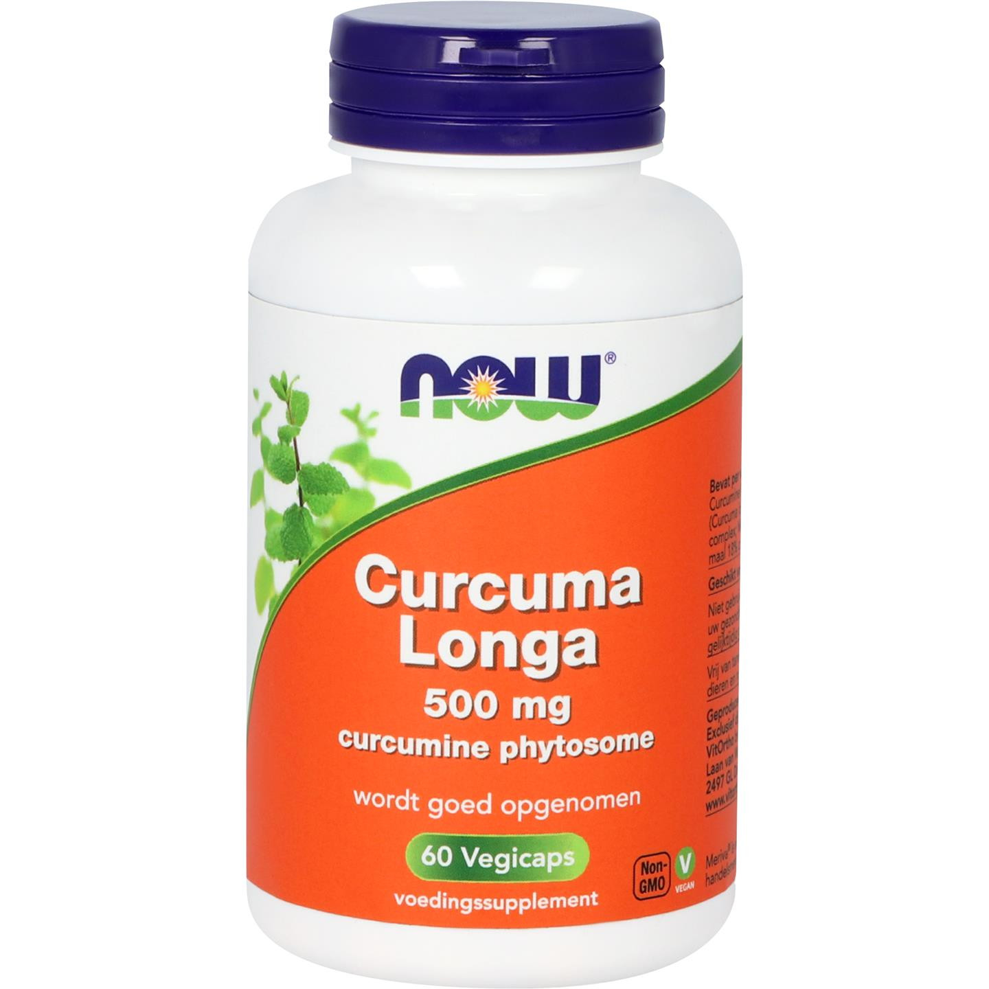 Curcuma longa 500 mg