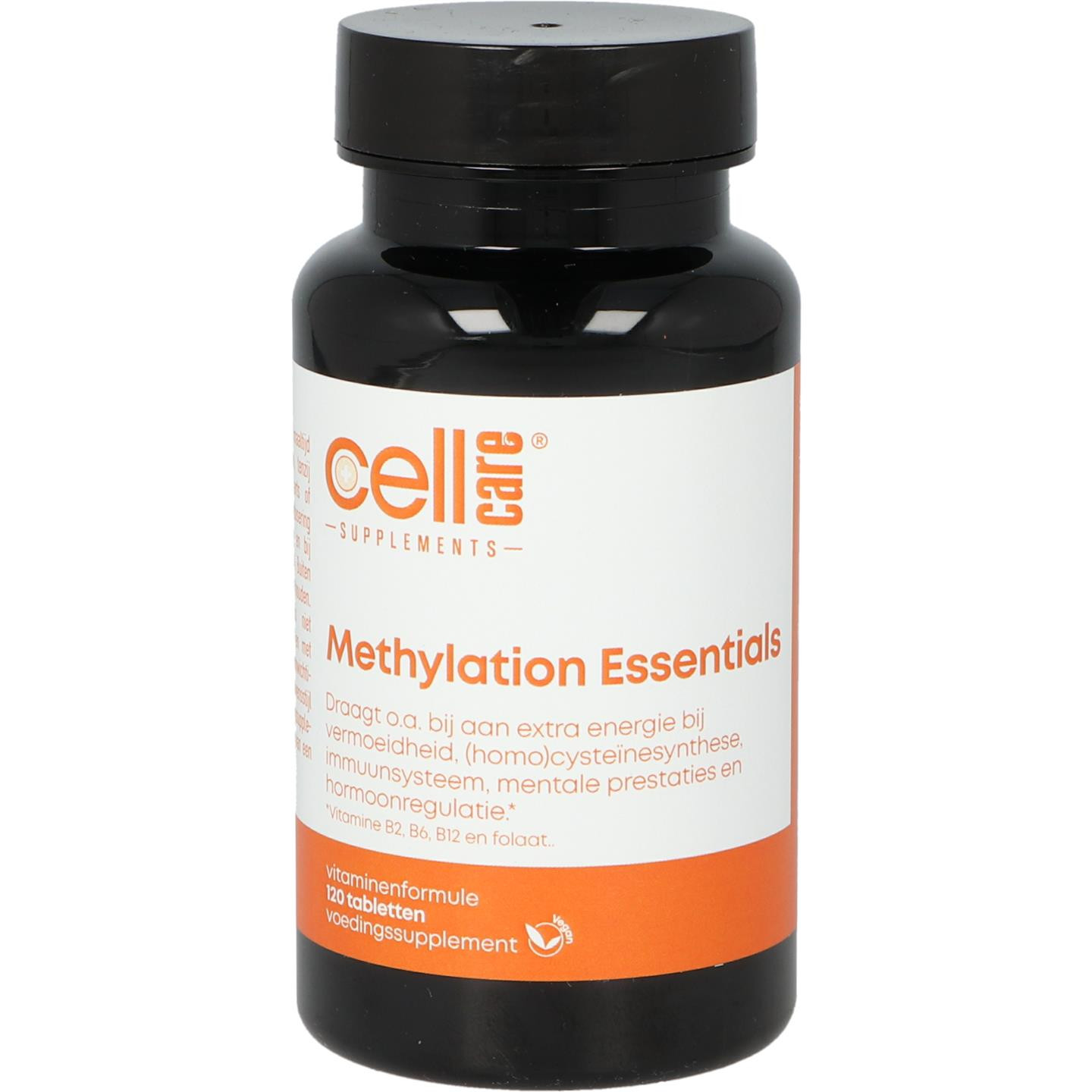Methylation Essentials