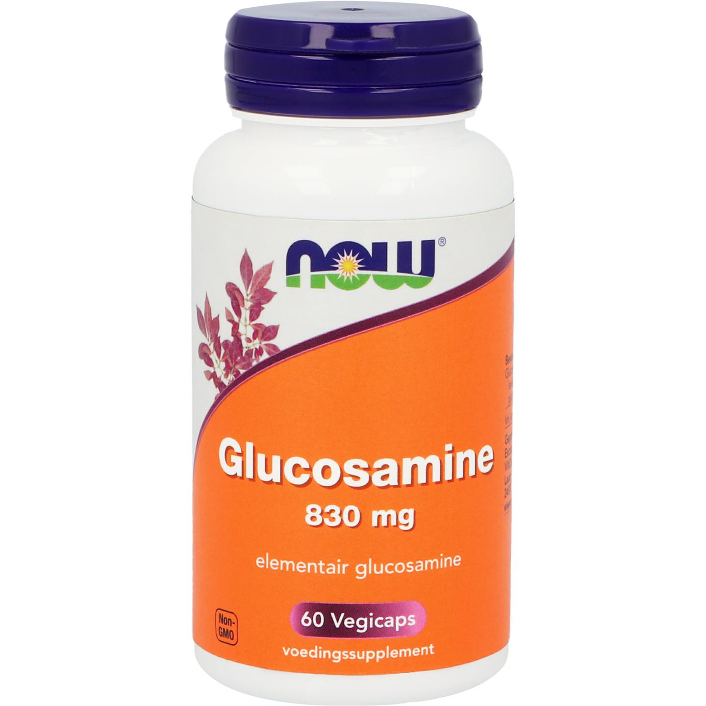 Glucosamine 830 mg