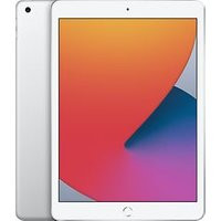 Apple iPad 10,2 128GB [Wi-Fi, model 2020] zilver