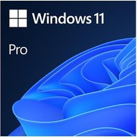 Microsoft Windows 11 Pro - 1 apparaat - Nederlands - PC