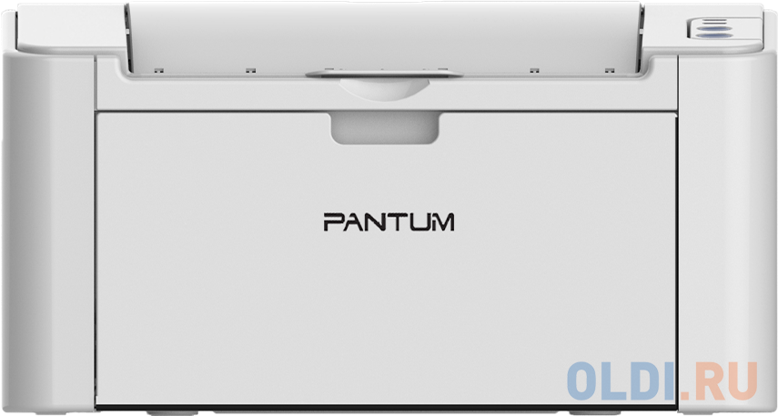 Лазерный принтер Pantum P2200
