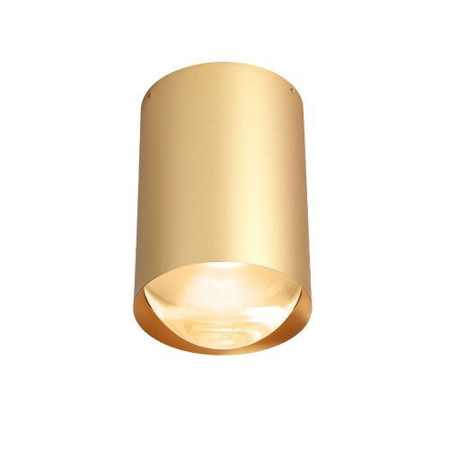 Trizo21 Bily 16 up Plafondlamp - Goud frame - Gouden ring