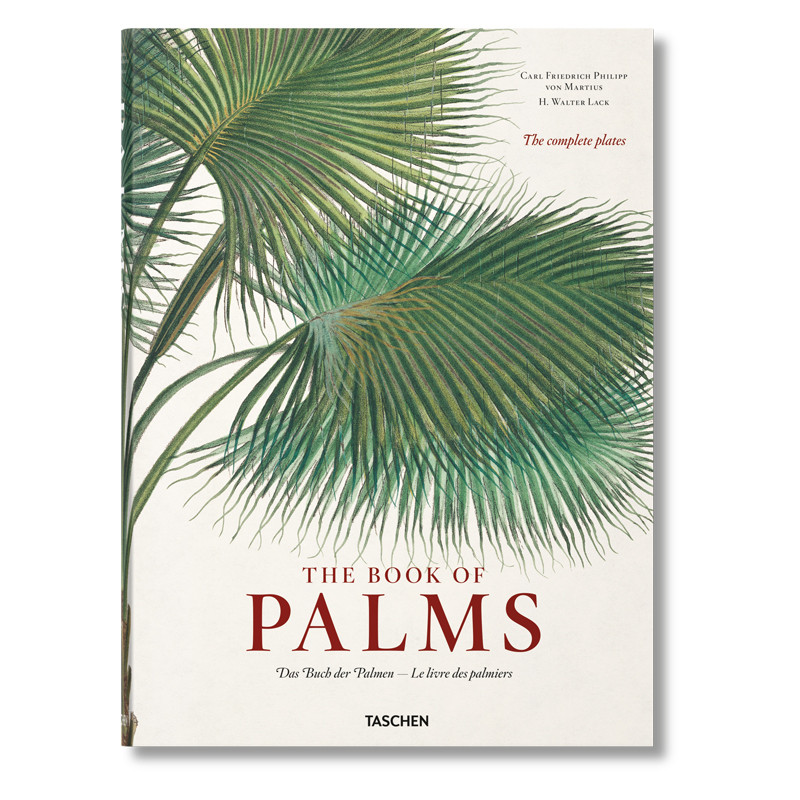 Книга The Book of Palms