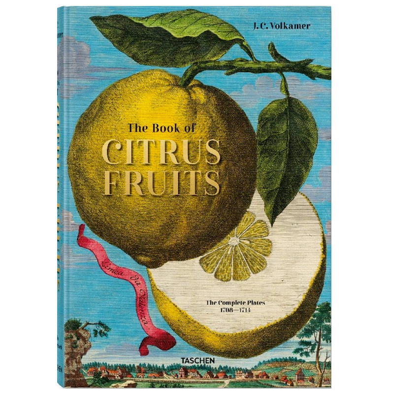 Volkamer Citrus Fruits