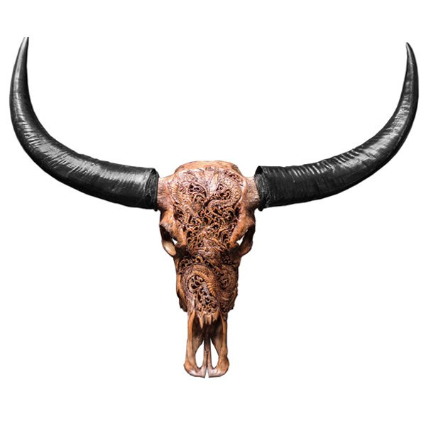 Череп буйвола Buffalo Skull Dragon резьба по кости