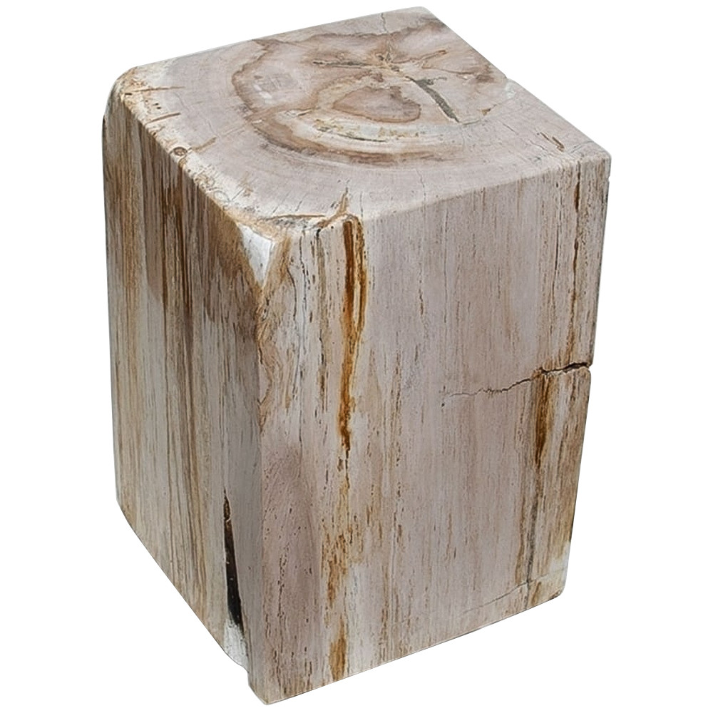 Стул из окаменелого дерева Petrified Wood Square