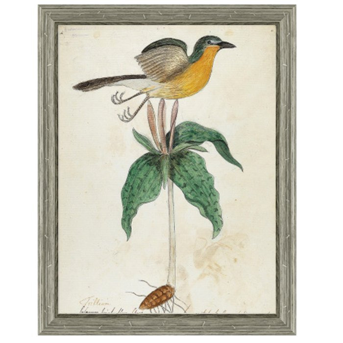 Постер Bird On Flower