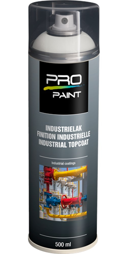 PP Color Spray Lichtgrijs RAL7035 HG (500ml)