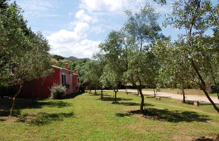 Natuurhuisje in Loiri Porto San Paolo