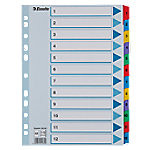 Esselte Numerieke tabbladen 100162 A4 Kleurenassortiment 12 tabs 11-gaats karton 1 tot 12