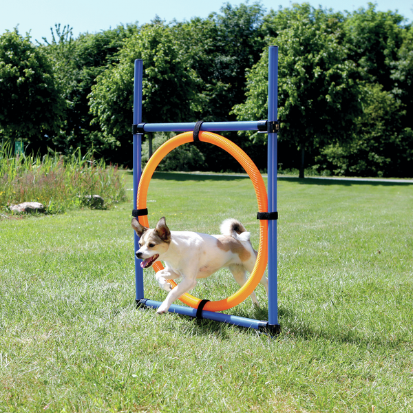 Trixie Dog Activity Agility Ring - Hondensport - 65x115 cm Blauw Oranje