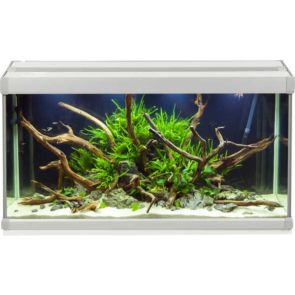 Akvastabil Family Aquarium - Aquaria - 70x32.5x37 cm 80 l Grijs Wit