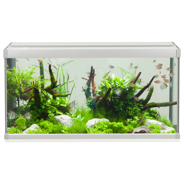 Akvastabil Family Aquarium - Aquaria - 80x35x42 cm 112 l Grijs Wit