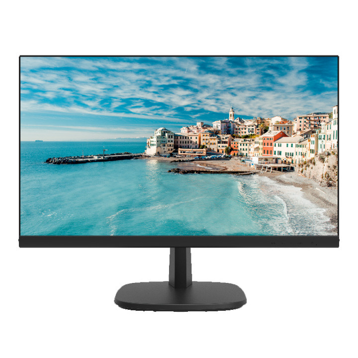DS-D5024FN - 23.8 inch TFT-LED monitor