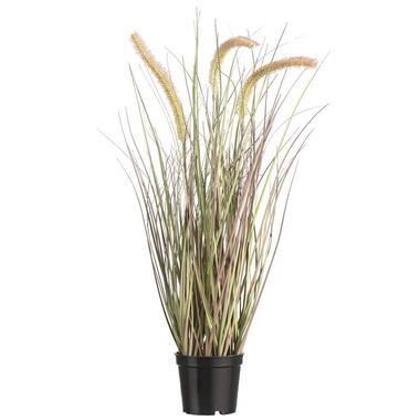 Kunstplant gras met pluim in pot - groen/naturel - 60 cm - Leen Bakker