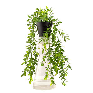 Kunst hangplant Ficus Pumila - groen - 30 cm - Leen Bakker
