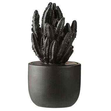 Ornament Plant - zwart - 17xØ9 cm - Leen Bakker