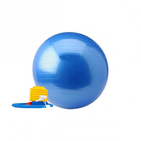 Gym Ball - Focus Fitness - 65 cm - incl. voetpomp