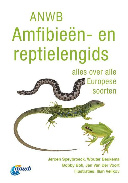 ANWB Amfibieën- en reptielengids -  Jeroen Speybroeck, Wouter Beukema (ISBN: 9789021586724)