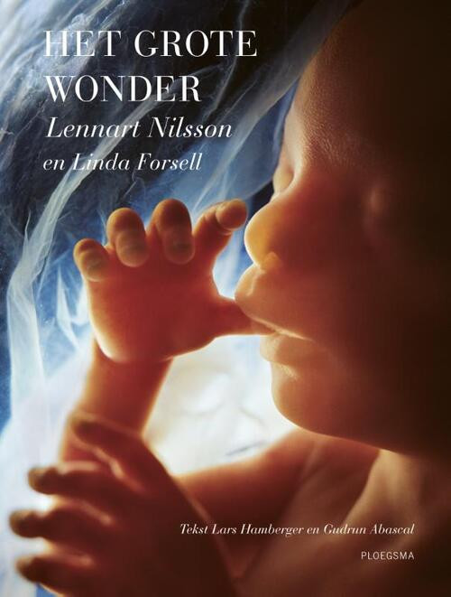 Het grote wonder -  Gudrun Abascal, Lars Hamberger (ISBN: 9789021678689)