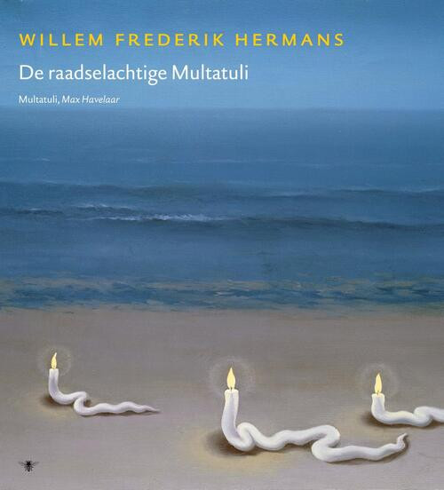 Volledige Werken deel 17 -  Willem Frederik Hermans (ISBN: 9789023442547)