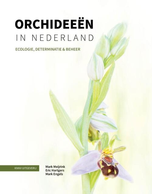 Orchideeën in Nederland -  Eric Hartgers, Mark Engels, Mark Meijrink (ISBN: 9789050118972)