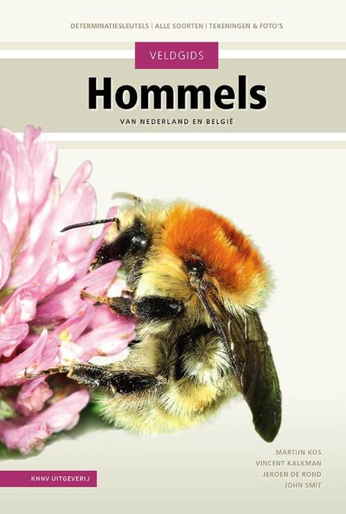 Veldgids Hommels -  John Smit, Martijn Kos, Vincent Kalkman (ISBN: 9789050118996)