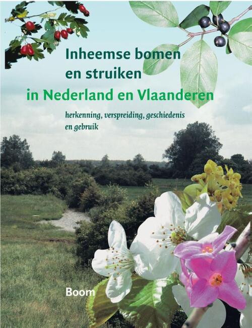 Inheemse bomen en struiken in Nederland en Vlaanderen -  Bert Maes (ISBN: 9789058756428)
